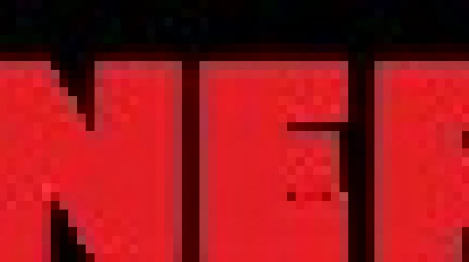 ANERI_4.jpg