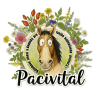 Logo pacivital
